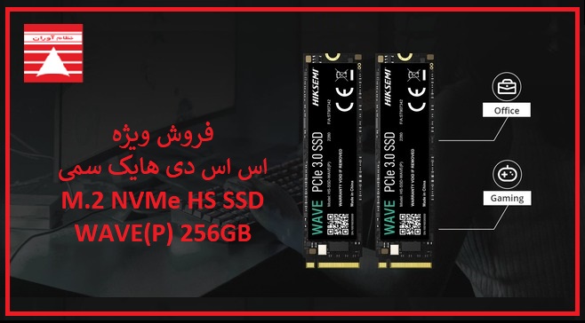 اس اس دی هایک سمی مدل Hiksemi M.2 NVMe HS-SSD-WAVE(P) 256GB